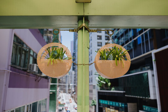 Hanging Circular Planters with Green Plants