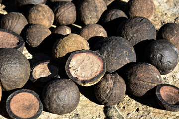 Spherical Moqui Marbles in Desert Landscape, Utah
