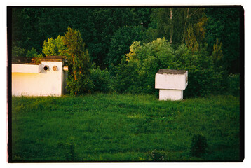 Abandoned structures surrounded by lush greenery at sunset