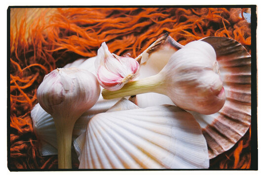 Still life of garlic bulbs with shell on orange background