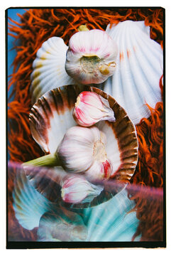 Garlic and seashells displayed artistically on a textured surface