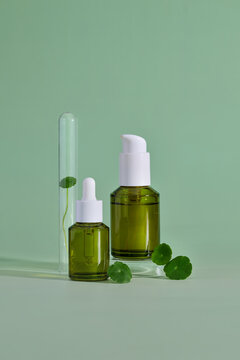 Skincare serum bottles with a fresh pennywort leaves