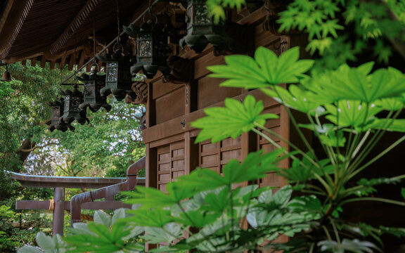 A serene corner of a Japanese shrine.