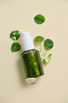 Cosmetic serum bottle with centella asiatica leaves.