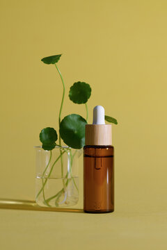 Aesthetic skincare product with a dropper bottle and green plant.