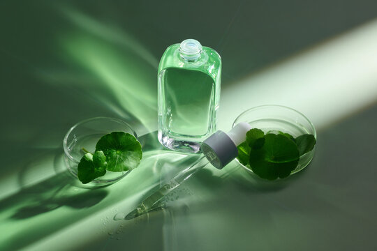 Skincare serum bottle with dropper and centella asiatica leaves