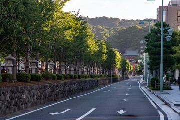 鎌倉25727　鶴岡八幡宮14　若宮大路
