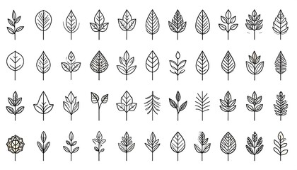 Collection of stylized leaf and plant outlines