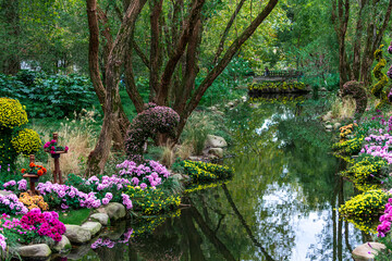 flowers in the garden
