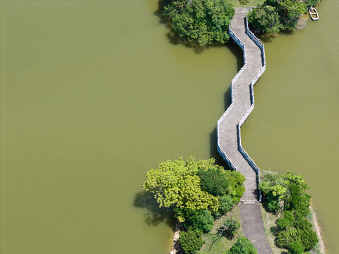 Zigzag Wooden Bridge Over Green Water Connecting Tree Islands