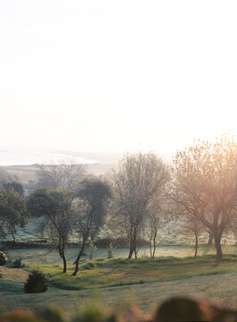 Beautfiul light close to sunrising in Normandy