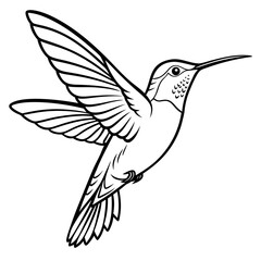Obraz premium Hummingbird illustration with detailed wings and beak in a black and white outline drawing style design created with generated ai