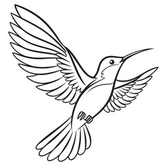 Illustration of a hummingbird in flight with detailed wings and tail feathers in black and white outline created with generated ai
