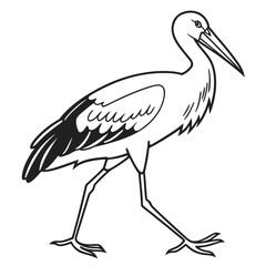 Fototapeta premium Illustration of a stork walking with its long beak and legs in a black and white outline drawing style created with generated ai