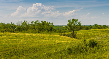Simple summer greens landscape with a thunderhead clouds forming on the horizon.