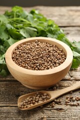 Fresh cilantro and coriander seeds on wooden table, closeup