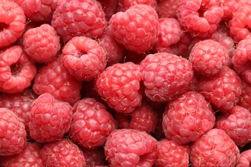 Many fresh ripe raspberries as background, top view