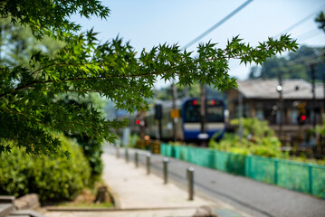 鎌倉2584　円覚寺15　門前