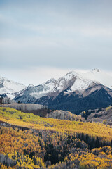 Snow-capped mountains with golden aspen forest in autumn