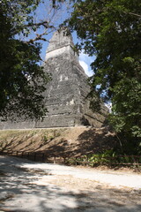 naturaleza, roca, turismo, montagna, muro, torre, árbol, tikal, h