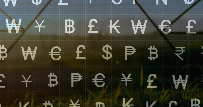 Overlaying field with faint grid overlay of currency symbols, featuring wire fence and tall grass