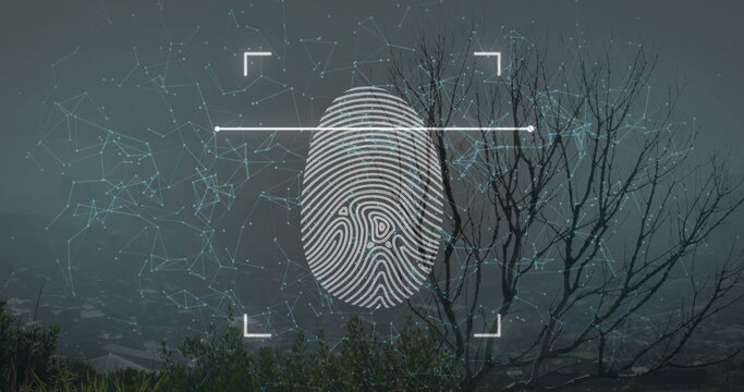 Displaying stylized fingerprint graphic overlaying foggy hill with scan frame and network nodes