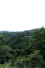 森の中にある大きなコテージ