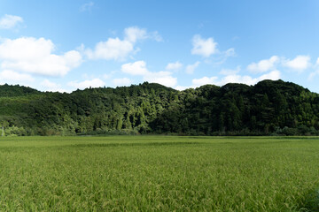 日本の田舎の田んぼと青空と山の風景