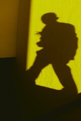 mysterious shadow