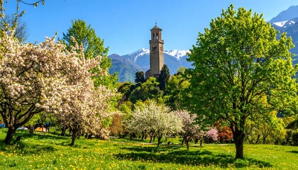 Blossoming park with clock tower