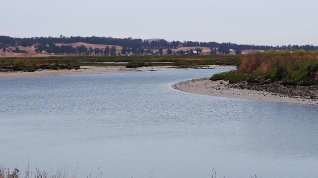 Petaluma River With Ripples From Breeze Moving Slowly Around Bend

