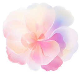 Fototapeta premium PNG Flower abstract petal plant.
