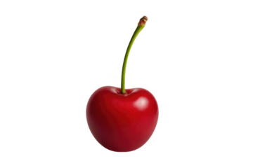 Ripe red cherry with stem on transparent background
