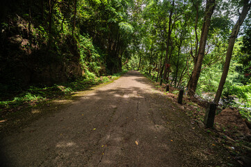 Serene Pathway Surrounded by Lush Greenery near Klang Waterfall