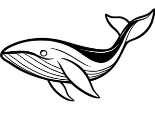 Obraz premium A simple illustration of a whale. Black and white. Vector. Lines.