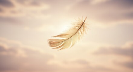 A delicate golden feather drifts weightlessly through a soft, ethereal sky, bathed in warm light. © Fauzi