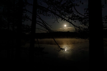 Serene night scene with a bright full moon reflecting on a calm lake, surrounded by dark silhouetted trees. Misty atmosphere creates a peaceful, mystical vibe. 