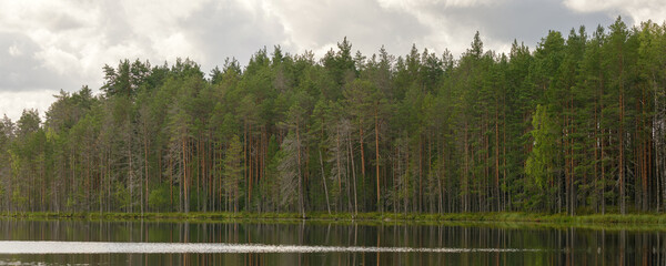 Serene lake with a dense forest of tall pine trees under a cloudy sky, reflecting perfectly on calm water. Ideal for nature, wilderness, and landscape themes. © Yura Borisov