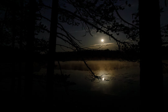 Serene night scene with a bright full moon reflecting on a calm lake, surrounded by dark silhouetted trees. Misty atmosphere creates a peaceful, mystical vibe. 