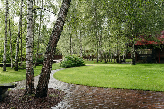 Nature's Tranquil Haven in a Lush Green Landscape