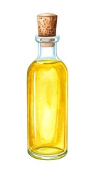 Watercolor illustration of oil bottle
