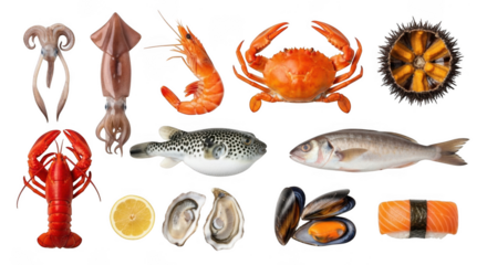 Assortment of fresh seafood and fish, including lobster, shrimp, crab, squid, oysters, mussels, sushi, sea urchin, and pufferfish, isolated on transparent background