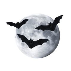 Black bats flying in front of a bright full moon isolated on transparent background symbolizing spooky halloween night. 