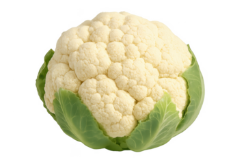 Fresh cauliflower vegetable with green leaves on transparent background