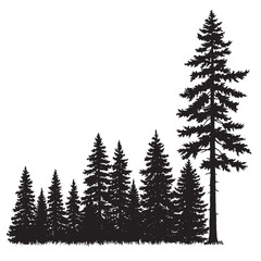 Silhouette of lush evergreen forest trees isolated on white background for design projects