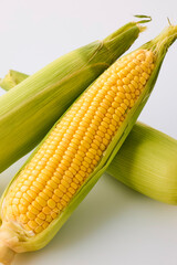 北海道産スイートコーン(とうもろこし)　Hokkaido Sweet Corn