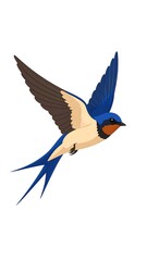 Obraz premium A stylized illustration of a swallow in flight