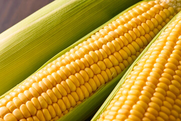 北海道産スイートコーン(とうもろこし)　Hokkaido Sweet Corn