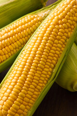 北海道産スイートコーン(とうもろこし)　Hokkaido Sweet Corn