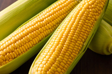 北海道産スイートコーン(とうもろこし)　Hokkaido Sweet Corn